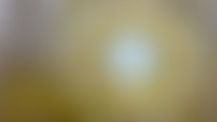 Oración de la mañana. 25 noviembre 2025.