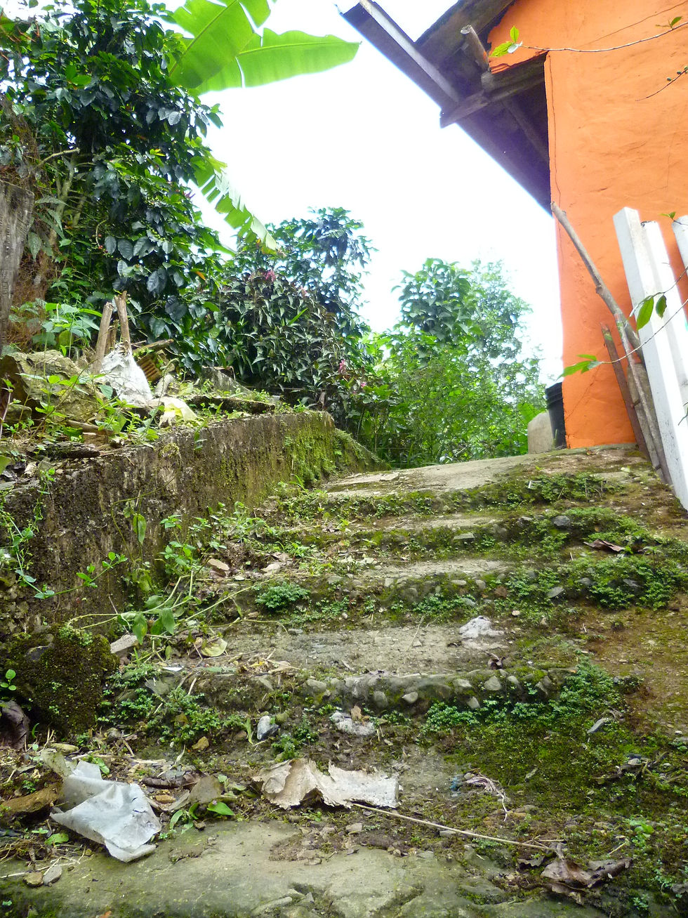 P1170003