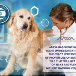 Buy Best Flea Shampoo For Puppies Under 12 Weeks Online At Lowest Prices!