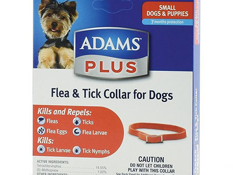Buy Natural Bug Repellent For Dogs Online At Lowest Prices!