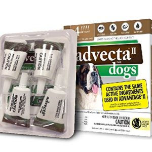 Buy Natural Flea Tick And Mosquito Remedy For Dogs Online At Lowest Prices!