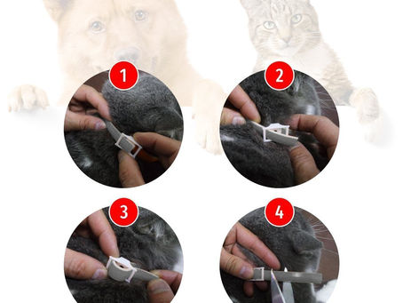 Buy Mosquito Treatment For Dogs Online At Lowest Prices!
