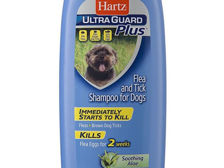 Buy Home Remedies For Fleas On Dogs Online At Lowest Prices!
