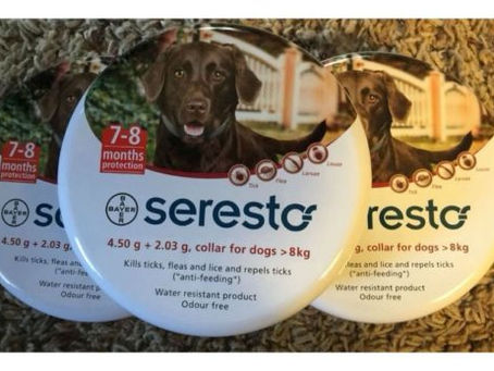 Buy Tick Repellent For Dogs Online At Lowest Prices!