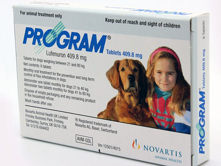 Buy Best Natural Flea Repellent For Dogs Online At Lowest Prices!