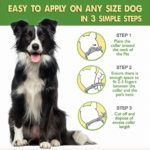 Buy Best Anti Flea And Tick Shampoo For Dogs Online At Lowest Prices!
