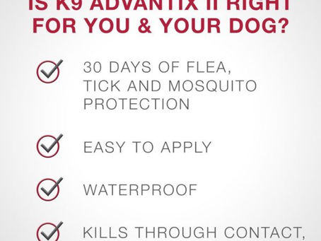 Buy Best Natural Flea And Tick Repellent For Dogs Online At Lowest Prices!