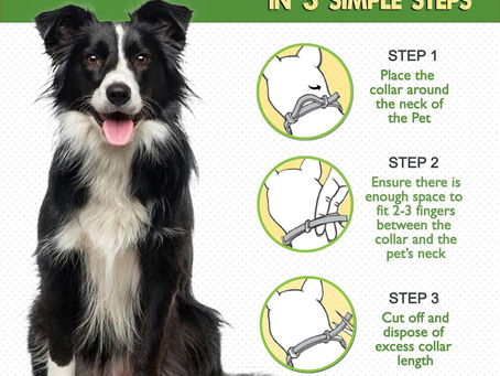 Buy Best Flea And Tick Treatment For Dogs Online At Lowest Prices!