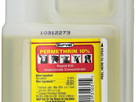 Buy Best Flea Bath For Small Dogs Online At Lowest Prices!