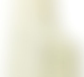 Buy Effective Tick Repellent For Dogs Online At Lowest Prices!