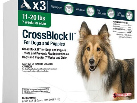 Buy Dog Safe Insect Repellent Online At Lowest Prices!