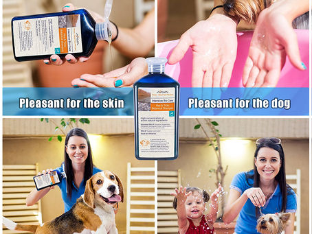 Buy Best Flea Shampoo For Small Dogs Online At Lowest Prices!