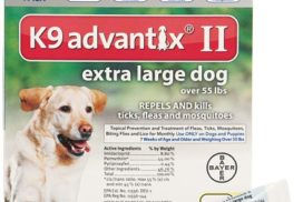 Buy All Natural Mosquito Repellent For Dogs Online At Lowest Prices!