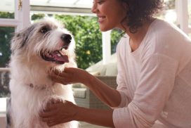 Buy Organic Flea Spray For Dogs Online At Lowest Prices!