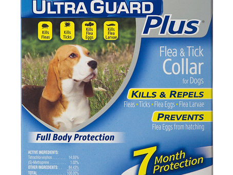 Buy Essential Oils For Flea And Tick Prevention For Dogs Online At Lowest Prices!