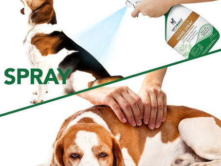 Buy What Is The Best Flea Treatment For Dogs Online At Lowest Prices!