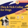 Buy Best Flea Bath Shampoo Online At Lowest Prices!