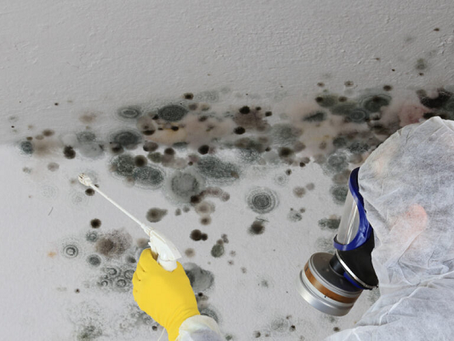 odor removal