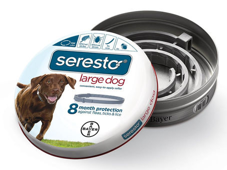 Buy Best Natural Tick Repellent For Dogs Online At Lowest Prices!