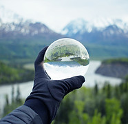 Natureza refletindo no cristal