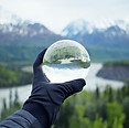 Nature Reflecting on Crystal Glass