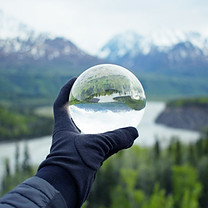Nature Reflecting on Crystal Glass