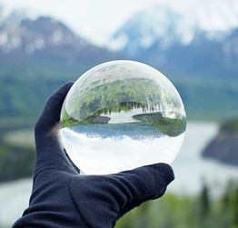Nature Reflecting on Crystal Glass