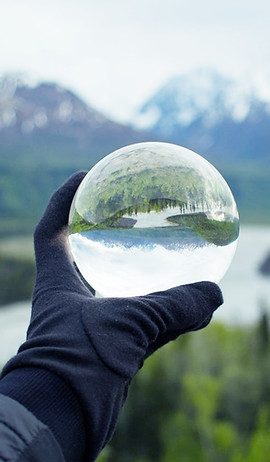 Nature Reflecting on Crystal Glass