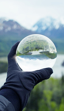 Nature Reflecting on Crystal Glass