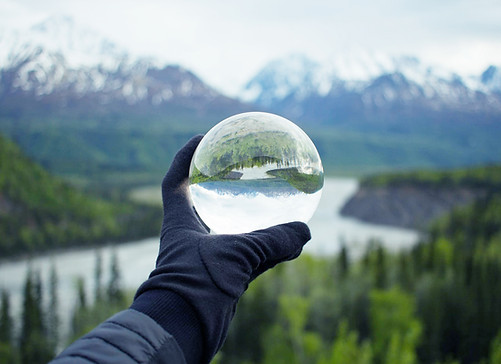 Nature réfléchissant sur le verre de cri