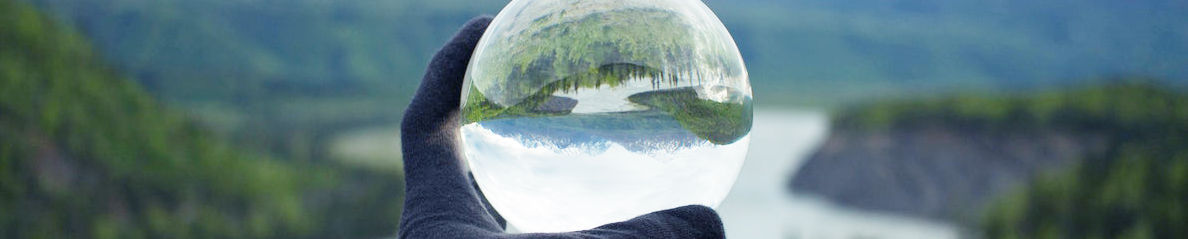 Nature Reflecting on Crystal Glass