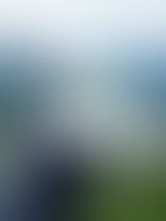 10 claves de la Ley de Restauración de la Naturaleza