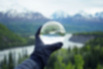 Nature Reflecting on Crystal Glass