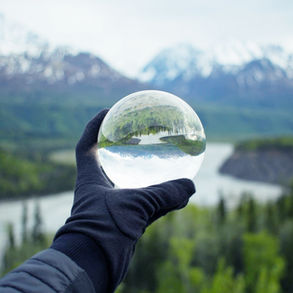 'Worthless': Scientists Warn Carbon Offsets Are a Dangerous Illusion