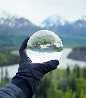 Nature Reflecting on Crystal Glass
