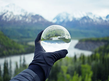 Natureza refletindo no cristal
