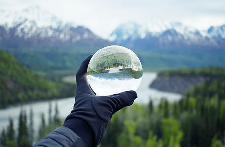 Nature Reflecting on Crystal Glass