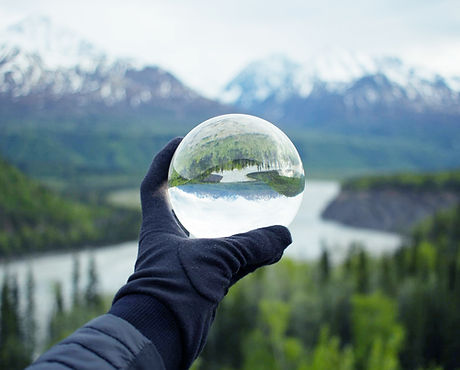 Naturaleza que reflexiona sobre cristal