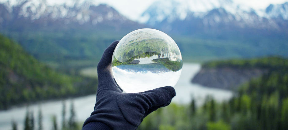 Nature Reflecting on Crystal Glass