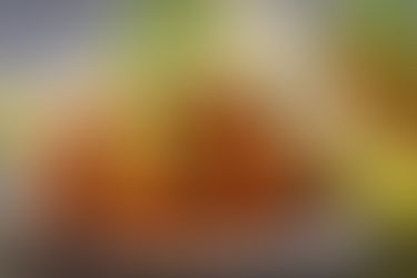 PORFIRIO’S RESTAURANTE ABRE PUERTAS EN TOREO PARQUE CENTRAL