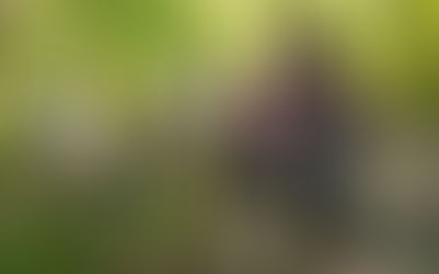 Nuevas formas de conectar: el auge de los clubes
