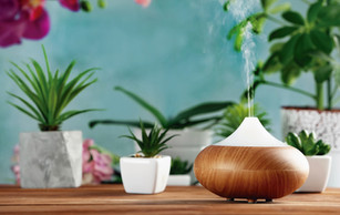 DIFUSORES , LO + NUEVO EN AROMATERAPIA