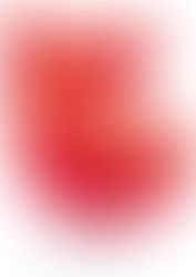 COLOR TREND, LOS PANTONES MUST DE 2019