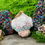 Miniaturbild: Trans-Pilz