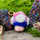 Miniaturbild: Bi-Pilz