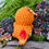 Miniaturbild: Baby Feuerechse