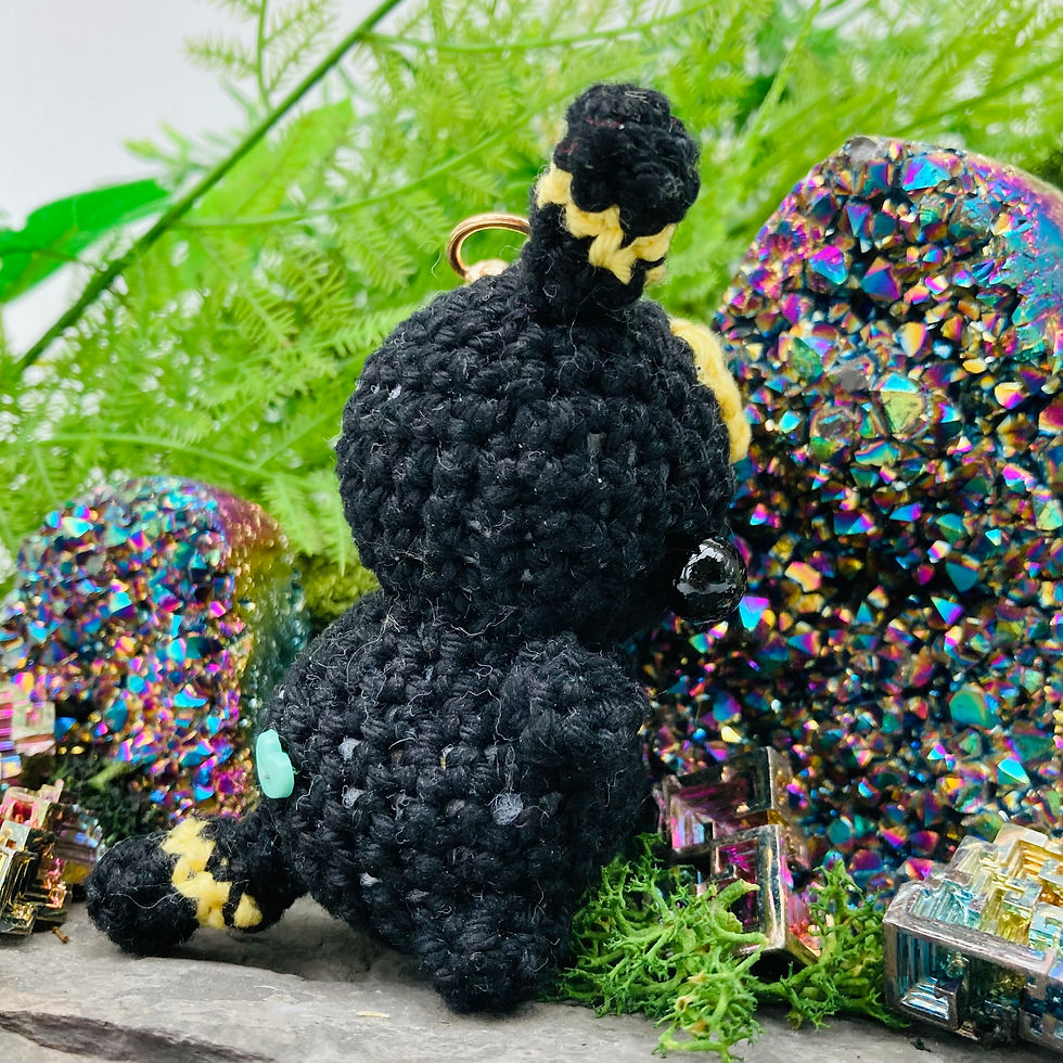 Miniaturbild: Nachtfüchslein