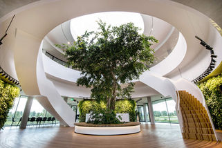 interieurfotografie projectontwikkelaars - imposante entree kantoor in Breda