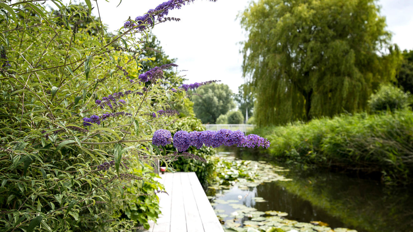 Projectfotografie Hoofddorp