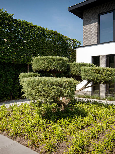 Diverse projectfoto's van afgeronde projecten in Hoofddorp voor Stukart Tuinen